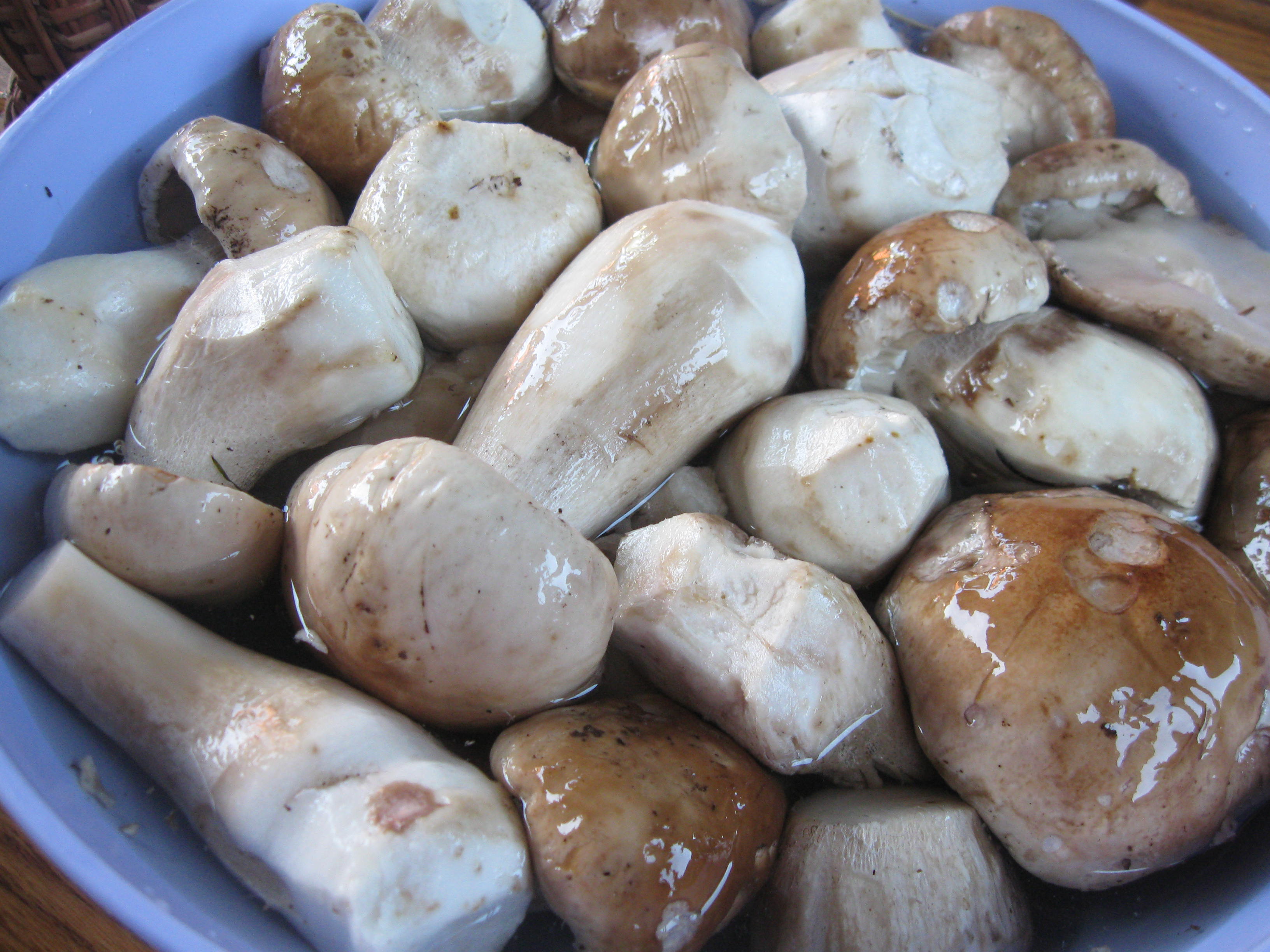 заготівля білих грибів на зиму
