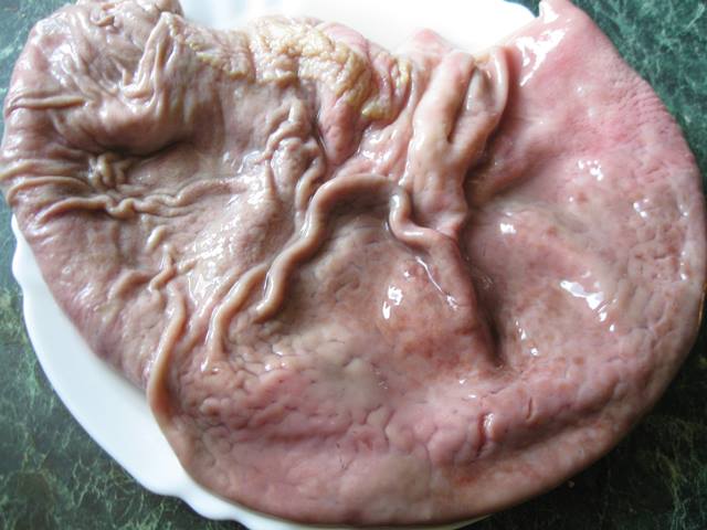 фарширований свинячий шлунок