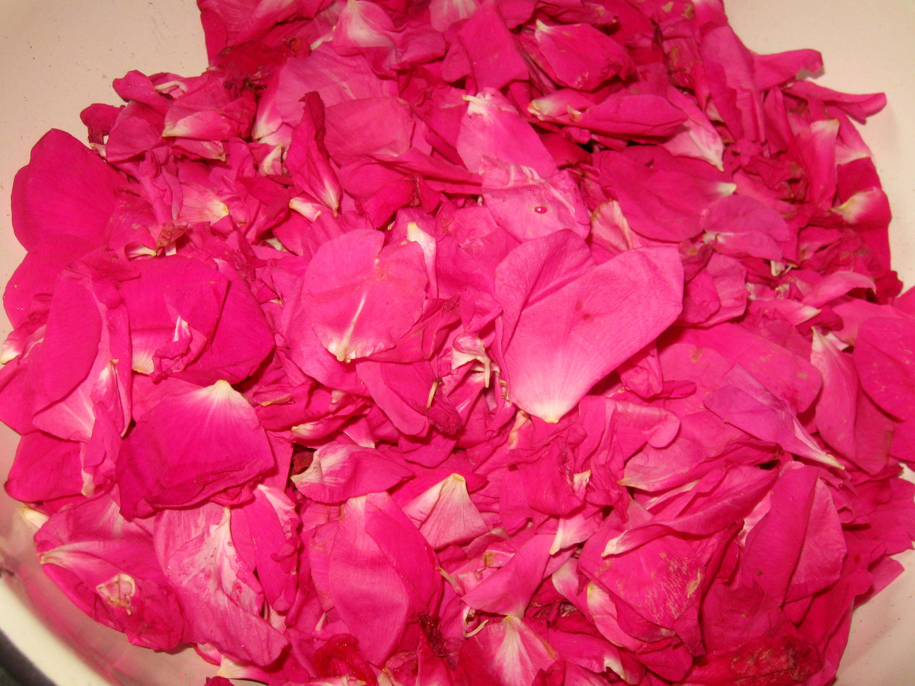 Терта рожа – конфітюр із пелюсток троянди